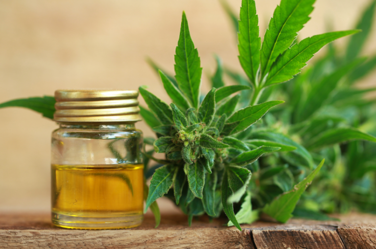 Plant Medicine & Holistic Wellness: Where Full-Spectrum CBD Comes Into Play