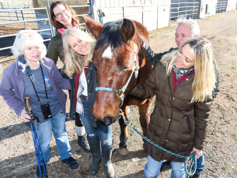 Horses and Healing — Aspen Business Connect Member Profiles By Austin Colbert