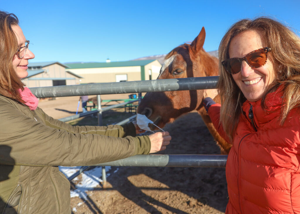 Horses and Healing — Aspen Business Connect Member Profiles By Austin Colbert