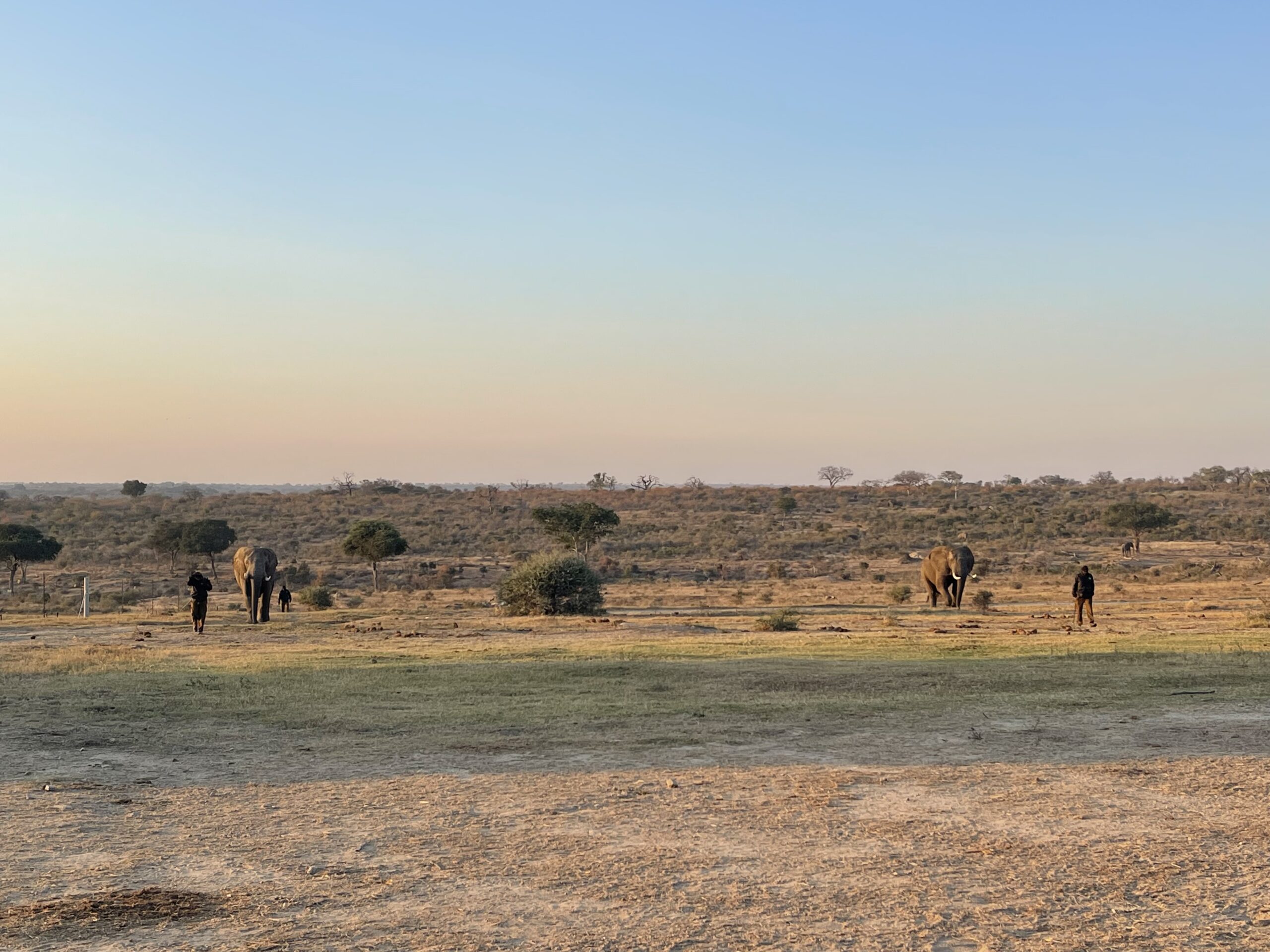 S. Kruger national Park